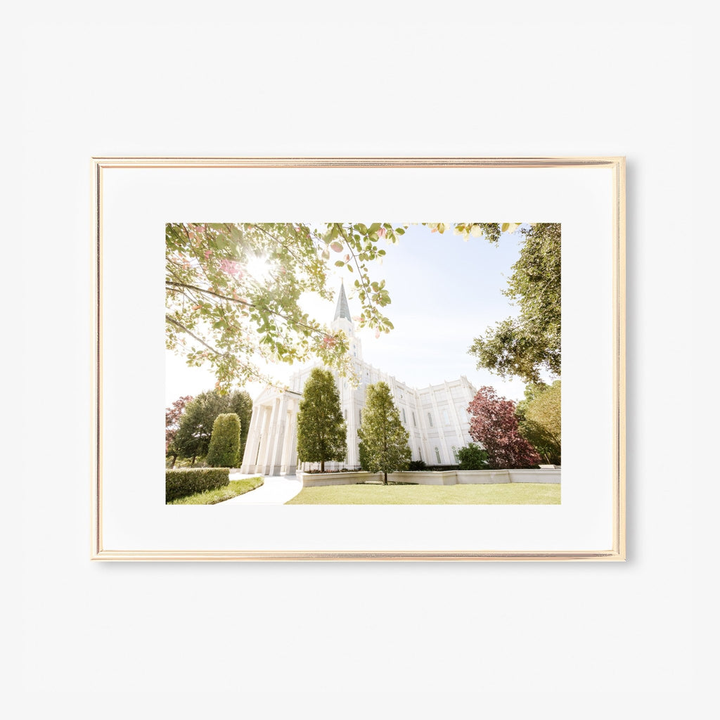 Houston Texas Temple Side - Jesus is the Christ Prints