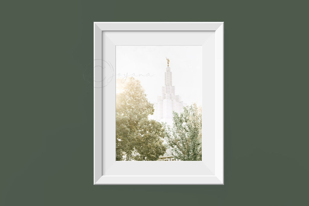 Idaho Falls Spire in Trees - Temple Artwork