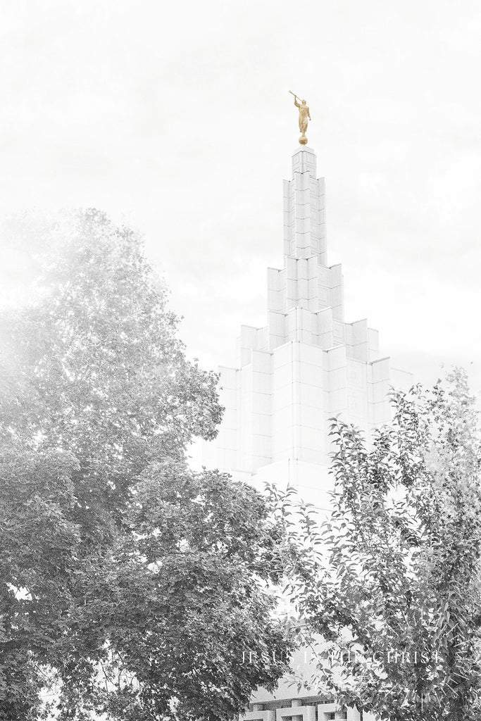 Idaho Falls Spire in Trees - Temple Artwork