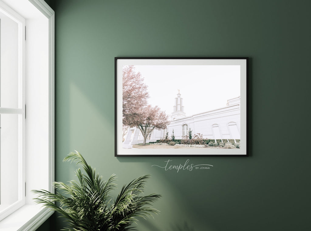 San Antonio Temple - Jesus is the Christ Prints
