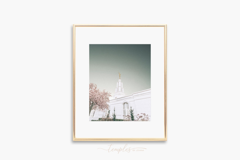 San Antonio Texas Temple Side - Jesus is the Christ Prints