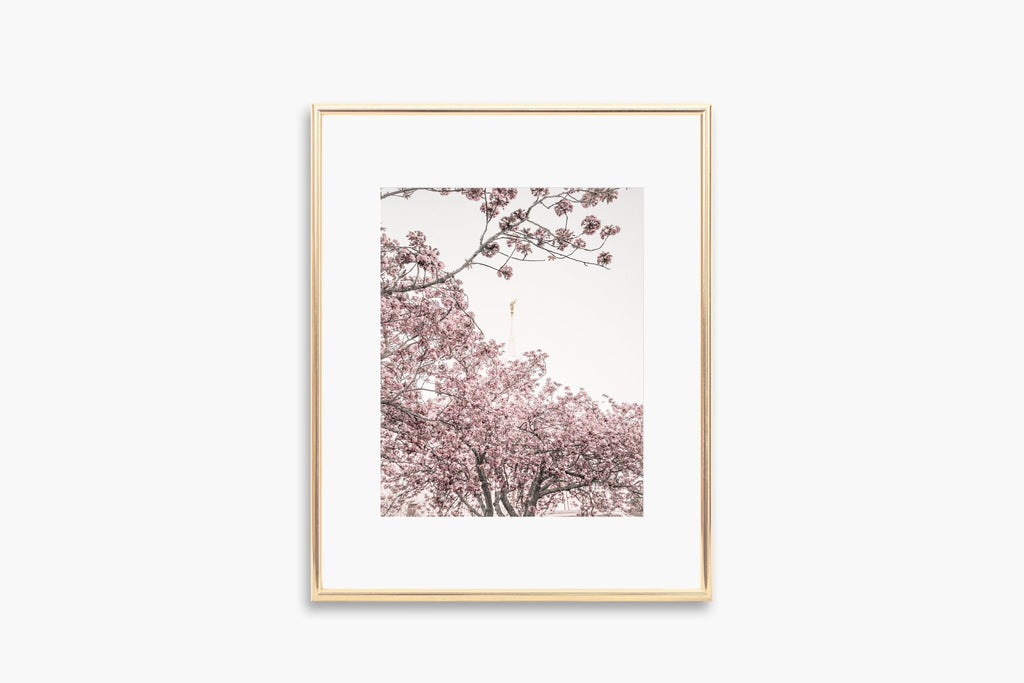 Seattle Temple Spire in Blossoms - Jesus is the Christ Prints