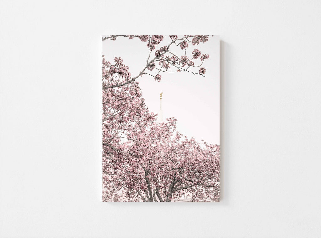 Seattle Temple Spire in Blossoms - Jesus is the Christ Prints