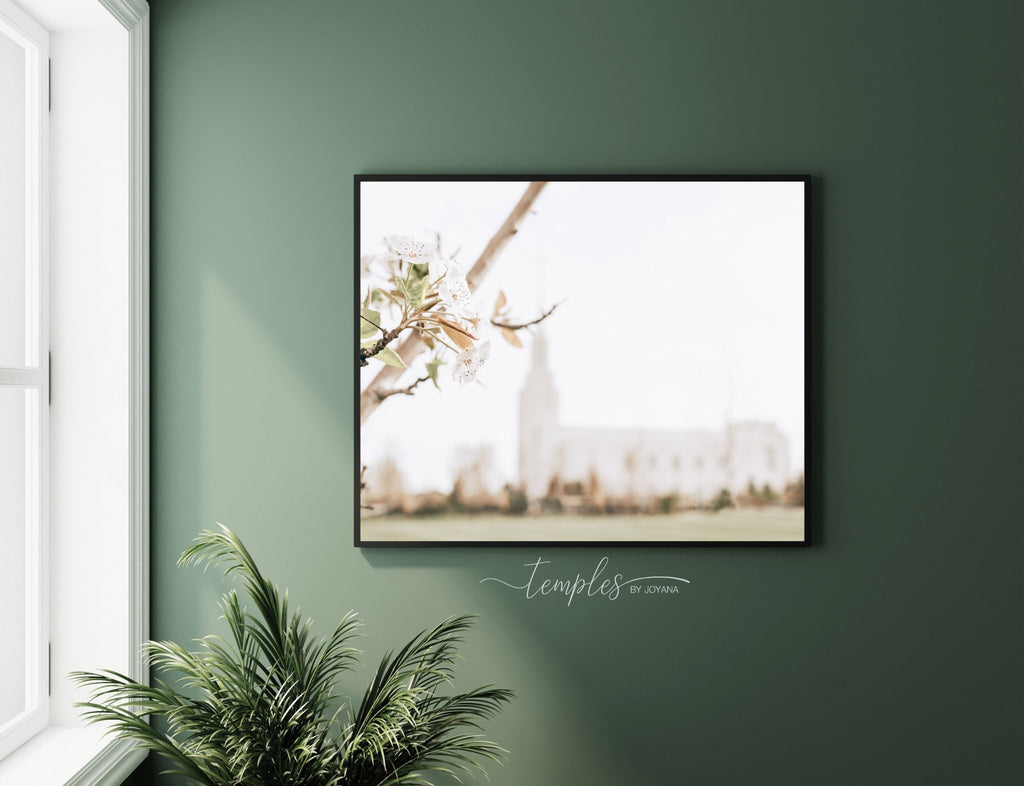Twin Falls Idaho Blossom - Jesus is the Christ Prints