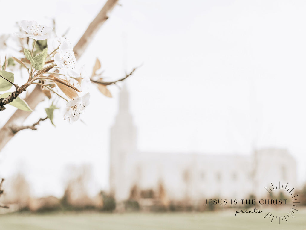 Twin Falls Idaho Blossom - Jesus is the Christ Prints